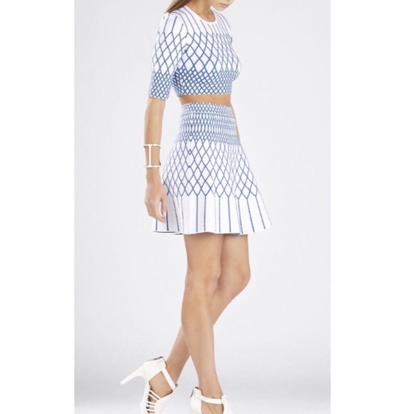 BCBGMaxAzria Other - BCBG Maxaxria two piece skirt & top